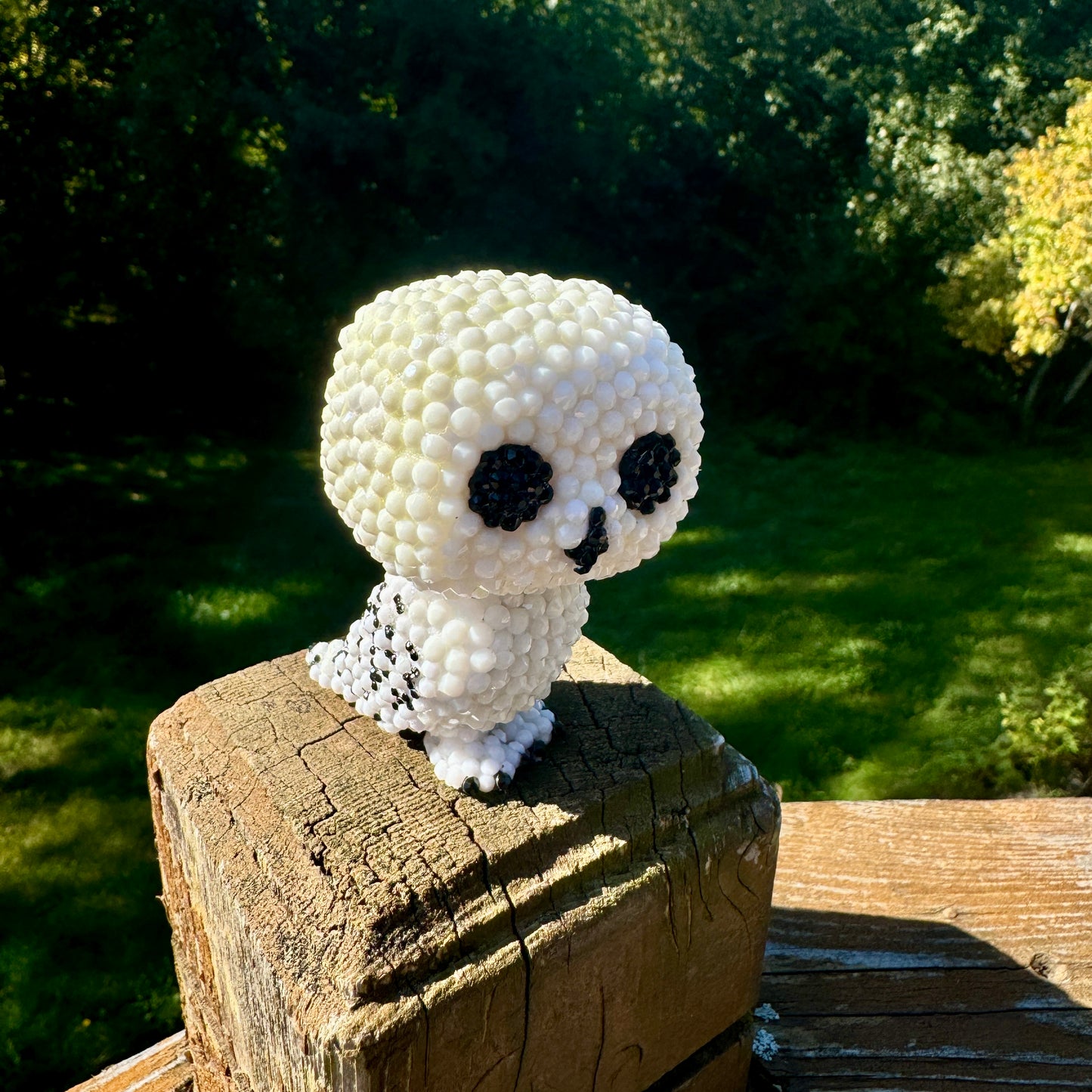 Hedwig the Owl