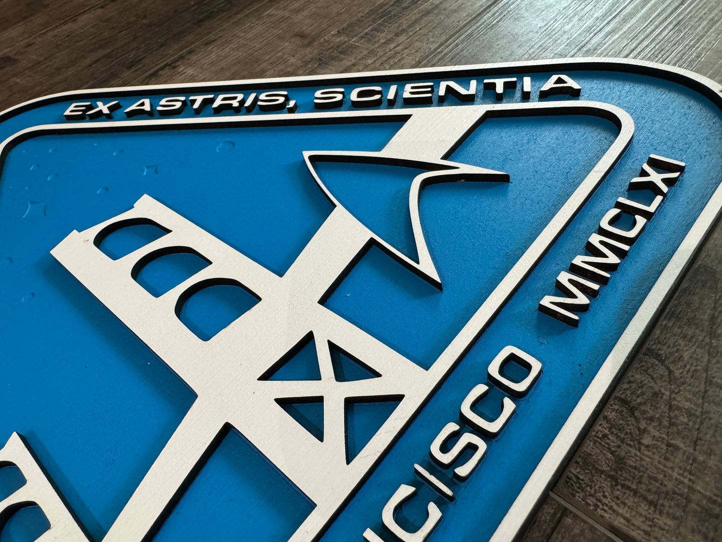 Starfleet Academy - Wall Art