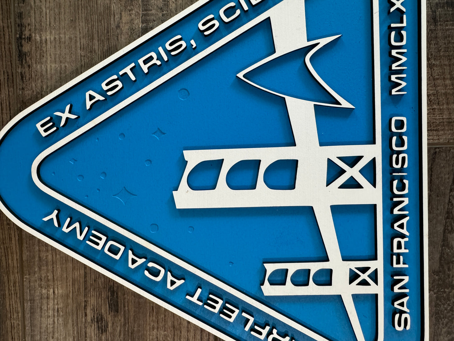 Starfleet Academy - Wall Art